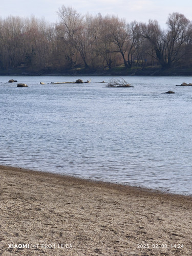 IMG 20250208 142457.jpg