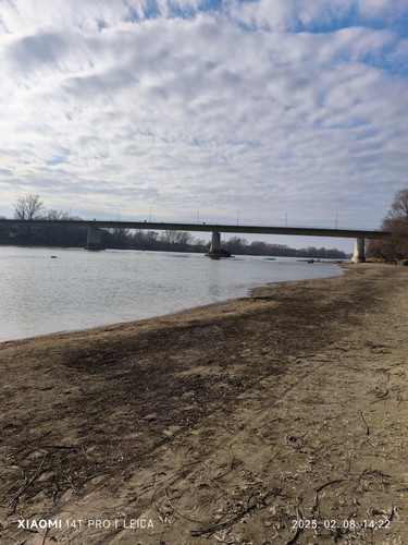 IMG 20250208 142215.jpg