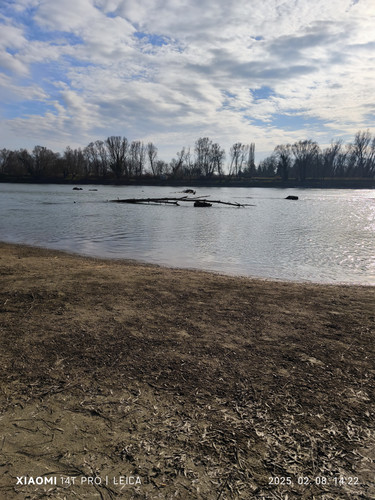 IMG 20250208 142203.jpg