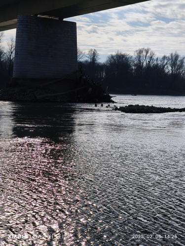 IMG 20250208 142548.jpg