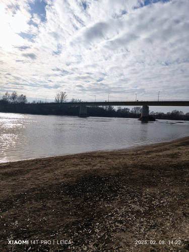 IMG 20250208 142258.jpg