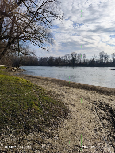 IMG 20250208 142128.jpg