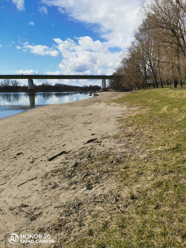 IMG 20200212 132255.jpg