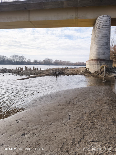 IMG 20250208 142605.jpg