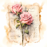 rose (3)