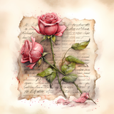 rose (1)