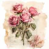 rose (5)
