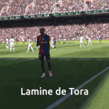 lamine de tora lamine (1).gif