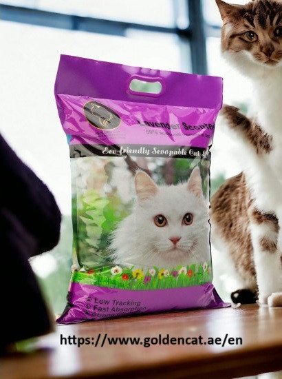 Smart cat feeder Dubai (2).jpg