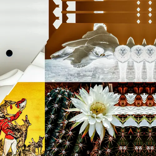 Tread On The Tricksters.webp