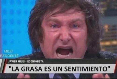 La grasa es un sentimiento.jpg