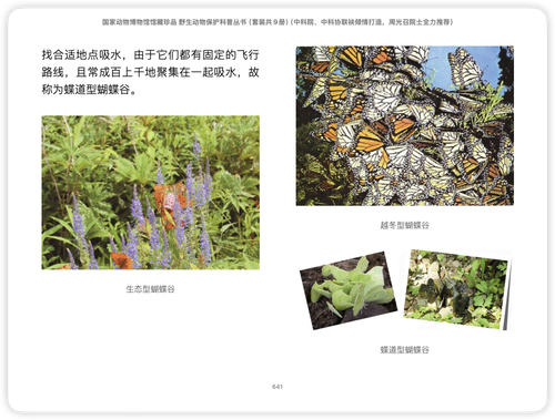 iShot 2025 11 03 12.20.37.png