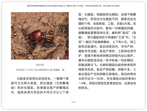 iShot 2025 11 03 12.21.56.png