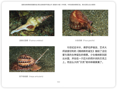 iShot 2025 11 03 12.20.48.png