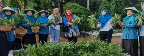 Screenshot 2025 11 03 104959.png