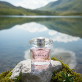 generated image resized 1762056779524.png