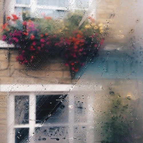  (98).jpg