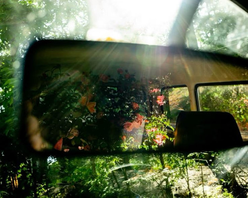 summer cottagecore nature flowers spring aesthetic.jpg