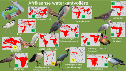 Afrikaanse waterkantvolière.png