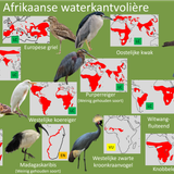 Afrikaanse waterkantvolière