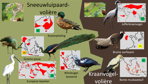 Aziatische volières 1.png
