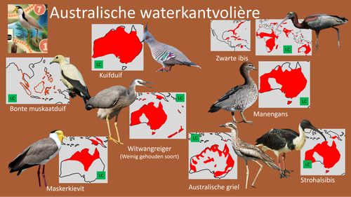 Australische waterkantvolière.png