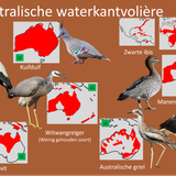 Australische waterkantvolière