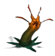 Planta6.png