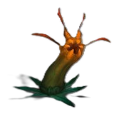 Planta6
