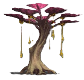 Planta7.png