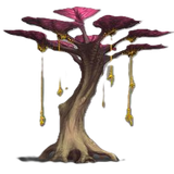 Planta7