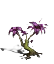 Planta1.png