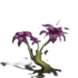 Planta1