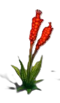 Planta2.png