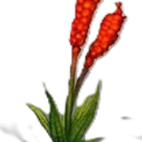 Planta2