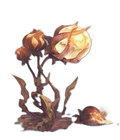 Planta9.png