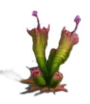 Planta3.png
