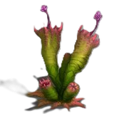 Planta3