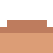 skin.png