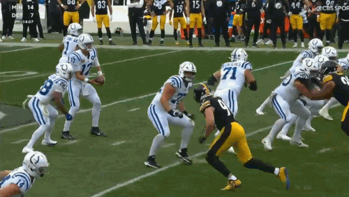 GIF 11 2 2025 12 47 13 PM.gif