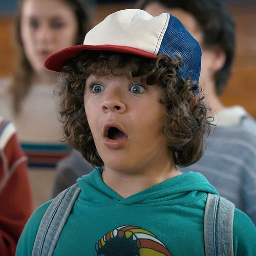 Dustin Henderson Icon ♡.jpg