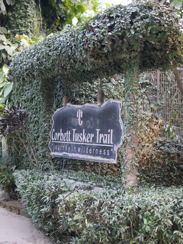 Best Resort in Jim Corbett National Park – A Perfect Nature Retreat.jpg