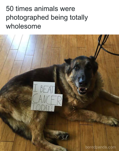 download 2025 11 02T192517.664.png