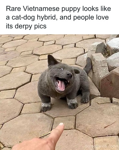 download 2025 11 02T192256.331.png