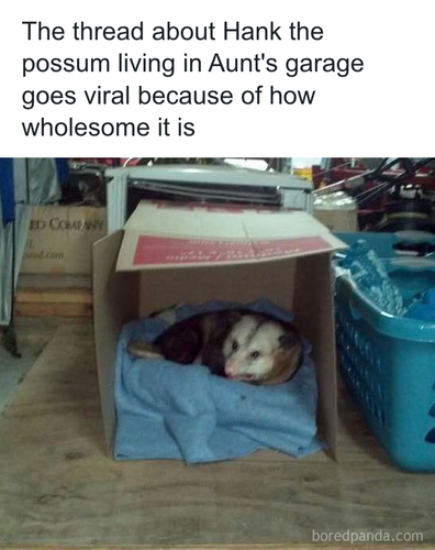 download 2025 11 02T193944.966.png