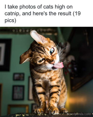 download 2025 11 02T194301.119.png