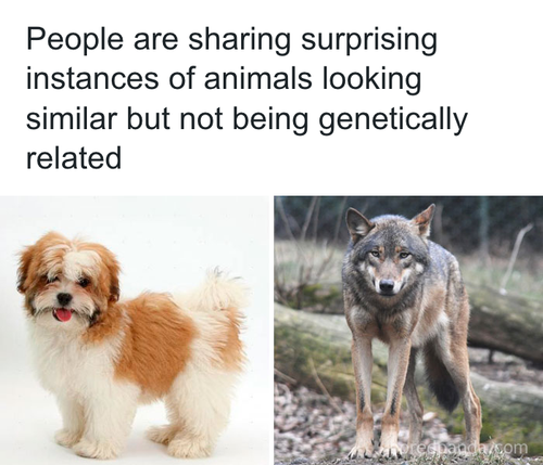 download 2025 11 02T202034.565.png