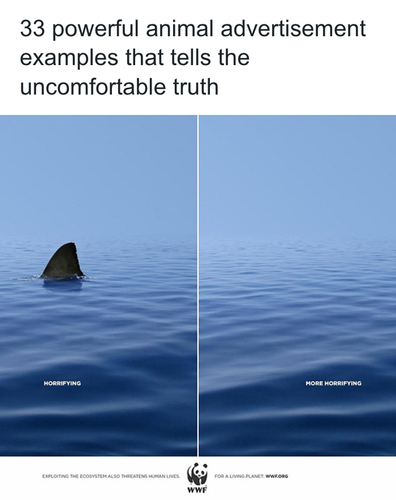 download 2025 11 02T193337.976.png