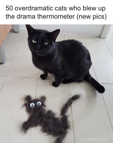 download 2025 11 02T191822.093.png