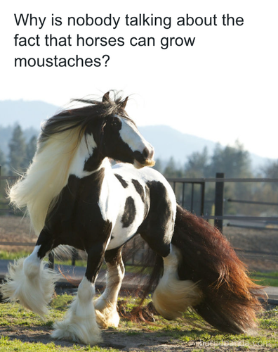 download 2025 11 02T200419.884.png